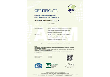 We are ISO9001 certified