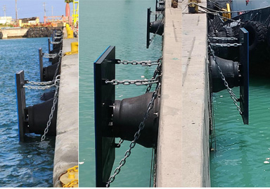 Whale marine completed the installation of 34 units cone fender